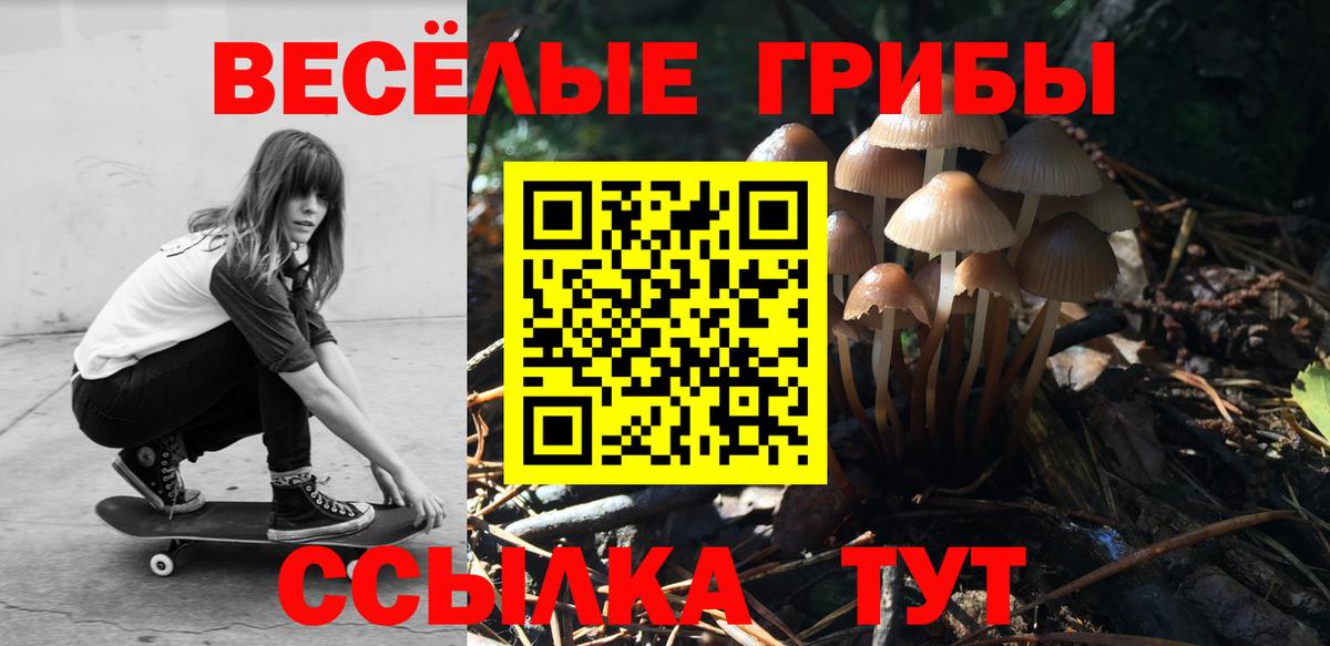 Химки  Псилоцибиновые грибы Magic Shrooms  Псилоцибиновые грибы мицелий  Вход с VPN 